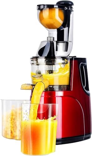 Kommerzielle Monitor, Grau, Saftmaschine mit Rückstandstrennung für Obst und Gemüse